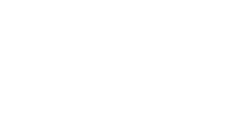 FlexTrade Logo
