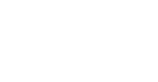 Maynard Nexsen Logo