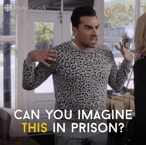 giphy-2-Jan-03-2023-08-46-40-6768-PM